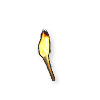 Paladin Höllenfeuerfackel (+10-20% allres & 10-20 Attributs) Paladin Höllenfeuerfackel (+10-20% allres & 10-20 Attributs)